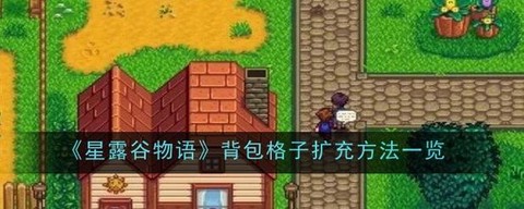 星露谷物语背包怎么升级[图2]