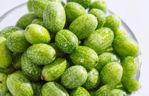 迷你世界野果有什么用