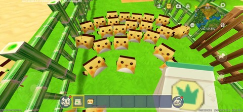 迷你世界的小鸡怎么喂