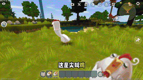 迷你世界怎么引鸡视频