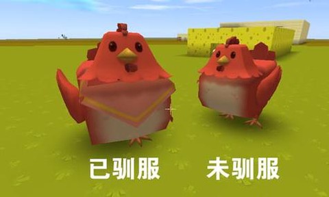 迷你世界怎么引鸡视频[图1]