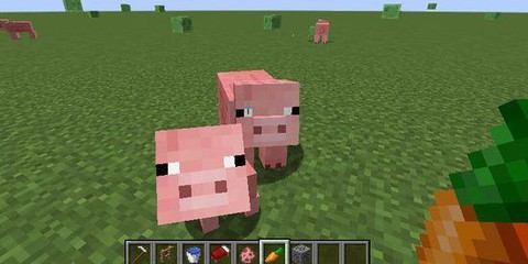 我的世界养猪有什么用