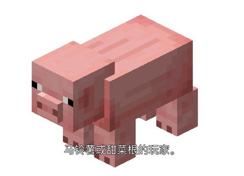 我的世界养猪有什么用[图1]