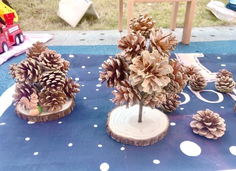 迷你世界怎么种松果