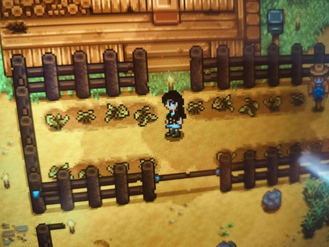 星露谷物语如何男巫